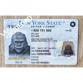 New York scannable card holder